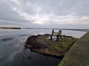 
                            <b>Op het knuppelpad, onder een bewolkte lucht</b><br>
                                                        <b>ISO:</b> 250 | <b>Sluitertijd:</b> 1/50 | <b>Diafragma:</b> f/2.2 | <b>Datum:</b> 2023-12-14

                        