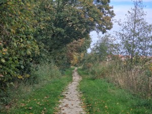 
                            <b>Wandelgebied met bomen en gras onder een bewolkte lucht</b><br>
                                                        <b>ISO:</b> 50 | <b>Sluitertijd:</b> 1/686 | <b>Diafragma:</b> f/2.4 | <b>Datum:</b> 2024-10-14

                        
