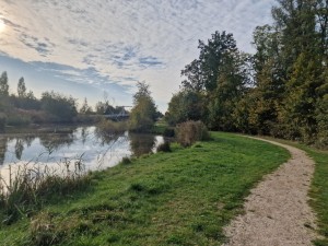 
                            <b>Wandelgebied met bomen, gras en water onder een bewolkte lucht</b><br>
                                                        <b>ISO:</b> 50 | <b>Sluitertijd:</b> 1/2312 | <b>Diafragma:</b> f/1.8 | <b>Datum:</b> 2024-10-14

                        