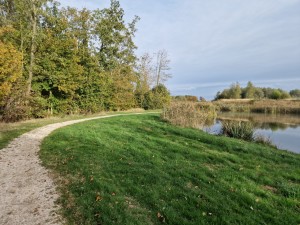 
                            <b>Wandelgebied met bomen, gras en water onder een bewolkte lucht</b><br>
                                                        <b>ISO:</b> 50 | <b>Sluitertijd:</b> 1/4854 | <b>Diafragma:</b> f/1.8 | <b>Datum:</b> 2024-10-14

                        