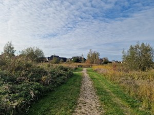 
                            <b>Wandelgebied met bomen en gras onder een bewolkte lucht</b><br>
                                                        <b>ISO:</b> 50 | <b>Sluitertijd:</b> 1/1418 | <b>Diafragma:</b> f/1.8 | <b>Datum:</b> 2024-10-14

                        