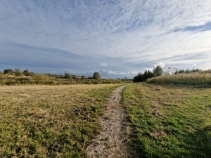 
                            <b>Wandelgebied met gras onder een bewolkte lucht</b><br>
                                                        <b>ISO:</b> 50 | <b>Sluitertijd:</b> 1/3521 | <b>Diafragma:</b> f/2.2 | <b>Datum:</b> 2024-10-14

                        