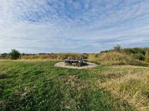 
                            <b>Wandelgebied met bomen en gras onder een bewolkte lucht</b><br>
                                                        <b>ISO:</b> 50 | <b>Sluitertijd:</b> 1/1980 | <b>Diafragma:</b> f/2.2 | <b>Datum:</b> 2024-10-14

                        