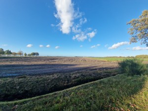 
                            <b>Langs de Fromaweg in Kolham kijkend over de weilanden onder een blauwe lucht</b><br>
                                                        <b>ISO:</b> 50 | <b>Sluitertijd:</b> 1/981 | <b>Diafragma:</b> f/2.2 | <b>Datum:</b> 2024-10-22

                        