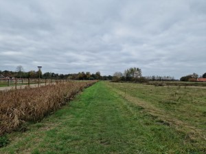 
                            <b>Wandelpad langs 't Roegwold, onder een grijze lucht</b><br>
                                                        <b>ISO:</b> 50 | <b>Sluitertijd:</b> 1/6944 | <b>Diafragma:</b> f/1.8 | <b>Datum:</b> 2024-10-31

                        