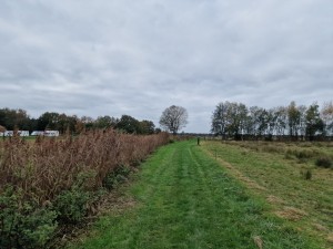 
                            <b>Wandelpad langs 't Roegwold, onder een grijze lucht</b><br>
                                                        <b>ISO:</b> 50 | <b>Sluitertijd:</b> 1/6098 | <b>Diafragma:</b> f/1.8 | <b>Datum:</b> 2024-10-31

                        