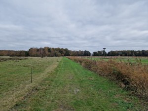 
                            <b>Wandelpad langs 't Roegwold, onder een grijze lucht</b><br>
                                                        <b>ISO:</b> 50 | <b>Sluitertijd:</b> 1/5714 | <b>Diafragma:</b> f/1.8 | <b>Datum:</b> 2024-10-31

                        