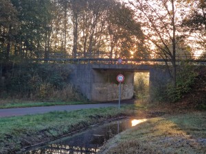 
                            <b>Tunneltje in het verlengde van de Ruitenweg</b><br>
                                                        <b>ISO:</b> 50 | <b>Sluitertijd:</b> 1/314 | <b>Diafragma:</b> f/2.4 | <b>Datum:</b> 2024-11-03

                        
