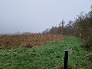 
                            <b>Natuurwandelgebied Woudbloem Duivelseiland, op de grens met Froombosch en Woudbloem</b><br>
                                                        <b>ISO:</b> 50 | <b>Sluitertijd:</b> 1/288 | <b>Diafragma:</b> f/1.8 | <b>Datum:</b> 2024-11-10

                        