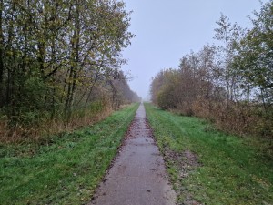 
                            <b>Fietspad Kooiweg, op de grens met Froombosch en Woudbloem</b><br>
                                                        <b>ISO:</b> 125 | <b>Sluitertijd:</b> 1/180 | <b>Diafragma:</b> f/1.8 | <b>Datum:</b> 2024-11-10

                        