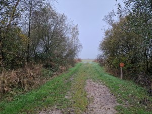 
                            <b>Natuurwandelgebied Woudbloem Duivelseiland, op de grens met Froombosch en Woudbloem</b><br>
                                                        <b>ISO:</b> 125 | <b>Sluitertijd:</b> 1/180 | <b>Diafragma:</b> f/1.8 | <b>Datum:</b> 2024-11-10

                        