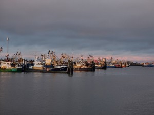 
                            <b>Schepen in de haven van Lauwersoog</b><br>
                                                        <b>ISO:</b> 50 | <b>Sluitertijd:</b> 1/100 | <b>Diafragma:</b> f/2.4 | <b>Datum:</b> 2024-03-30

                        