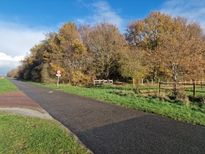 
                            <b>Het bos van 't Roegwold Westerpolder aan de straat Uiterdijk</b><br>
                                                        <b>ISO:</b> 50 | <b>Sluitertijd:</b> 1/5618 | <b>Diafragma:</b> f/1.8 | <b>Datum:</b> 2024-11-18

                        