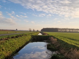 
                            <b>Een polderlandschap met een sloot, weg, grasvelden en bomen onder een deels bewolkte hemel</b><br>
                                                        <b>ISO:</b> 50 | <b>Sluitertijd:</b> 1/873 | <b>Diafragma:</b> f/1.8 | <b>Datum:</b> 2024-12-08

                        