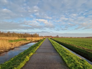 
                            <b>Een fietspad langs sloten en graslanden met riet en bomen onder een blauwe hemel</b><br>
                                                        <b>ISO:</b> 50 | <b>Sluitertijd:</b> 1/3906 | <b>Diafragma:</b> f/1.8 | <b>Datum:</b> 2024-12-08

                        