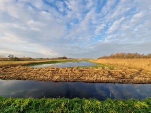 
                            <b>Een weids polderlandschap met water, rietvelden, gras en een licht bewolkte blauwe lucht</b><br>
                                                        <b>ISO:</b> 50 | <b>Sluitertijd:</b> 1/707 | <b>Diafragma:</b> f/2.2 | <b>Datum:</b> 2024-12-08

                        