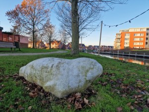 
                            <b>Een groot, lichtgekleurde steen (zeehond) op het gras naast een boom en het damsterdiep</b><br>
                                                        <b>ISO:</b> 50 | <b>Sluitertijd:</b> 1/2513 | <b>Diafragma:</b> f/1.8 | <b>Datum:</b> 2024-12-01

                        