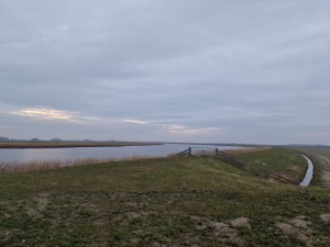 
                            <b>Grasveld met water en een hek op een dijk.</b><br>
                                                        <b>ISO:</b> 50 | <b>Sluitertijd:</b> 1/1493 | <b>Diafragma:</b> f/1.8 | <b>Datum:</b> 2025-02-08

                        