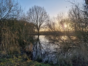 
                            <b>Kale boom weerspiegeld in kalm water bij ondergaande zon.</b><br>
                                                        <b>ISO:</b> 50 | <b>Sluitertijd:</b> 1/465 | <b>Diafragma:</b> f/1.8 | <b>Datum:</b> 2025-02-06

                        