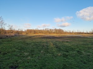
                            <b>Open groene weide met bomen in de verte onder blauwe lucht.</b><br>
                                                        <b>ISO:</b> 50 | <b>Sluitertijd:</b> 1/2841 | <b>Diafragma:</b> f/1.8 | <b>Datum:</b> 2025-02-06

                        