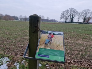
                            <b>Informatiebord over korenbloemen en dalkruid in natuurgebied.</b><br>
                                                        <b>ISO:</b> 50 | <b>Sluitertijd:</b> 1/897 | <b>Diafragma:</b> f/1.8 | <b>Datum:</b> 2025-02-15

                        