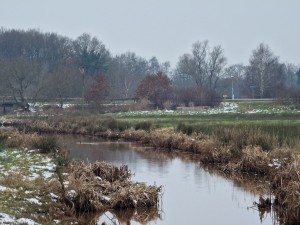 
                            <b>Rustige beek stroomt door winters natuurgebied met kale bomen.</b><br>
                                                        <b>ISO:</b> 64 | <b>Sluitertijd:</b> 1/100 | <b>Diafragma:</b> f/4.9 | <b>Datum:</b> 2025-02-15

                        
