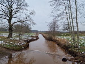 
                            <b>Meanderende beek met bomen langs de oever, beetje besneeuwd landschap.</b><br>
                                                        <b>ISO:</b> 50 | <b>Sluitertijd:</b> 1/1437 | <b>Diafragma:</b> f/1.8 | <b>Datum:</b> 2025-02-15

                        