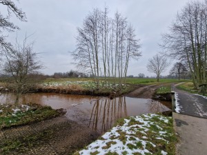 
                            <b>Ongemarkeerde doorwaadbare plaats over modderige rivier met kale bomen.</b><br>
                                                        <b>ISO:</b> 50 | <b>Sluitertijd:</b> 1/352 | <b>Diafragma:</b> f/2.2 | <b>Datum:</b> 2025-02-15

                        
