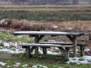 
                            <b>Houten picknicktafel met sneeuw bedekt in een nat grasveld.</b><br>
                                                        <b>ISO:</b> 50 | <b>Sluitertijd:</b> 1/50 | <b>Diafragma:</b> f/4.9 | <b>Datum:</b> 2025-02-15

                        