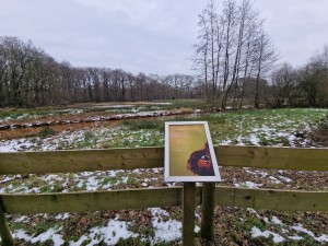 
                            <b>Informatiebord bij houten hek met besneeuwde grasvlakte op de achtergrond.</b><br>
                                                        <b>ISO:</b> 50 | <b>Sluitertijd:</b> 1/283 | <b>Diafragma:</b> f/2.2 | <b>Datum:</b> 2025-02-15

                        