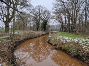 
                            <b>Bruin kronkelend beekje met kale bomen weerspiegeld in het water.</b><br>
                                                        <b>ISO:</b> 50 | <b>Sluitertijd:</b> 1/180 | <b>Diafragma:</b> f/1.8 | <b>Datum:</b> 2025-02-15

                        