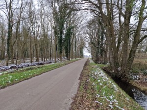 
                            <b>Smal weggetje door bomen met wat sneeuw langs de berm.</b><br>
                                                        <b>ISO:</b> 50 | <b>Sluitertijd:</b> 1/180 | <b>Diafragma:</b> f/1.8 | <b>Datum:</b> 2025-02-15

                        