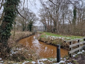 
                            <b>Bochtige beek in bosrijk gebied met houten brug en besneeuwde oevers.</b><br>
                                                        <b>ISO:</b> 50 | <b>Sluitertijd:</b> 1/180 | <b>Diafragma:</b> f/1.8 | <b>Datum:</b> 2025-02-15

                        