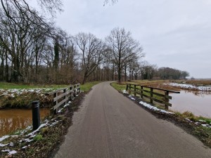 
                            <b>Smal pad tussen bomen en water met houten bruggen.</b><br>
                                                        <b>ISO:</b> 50 | <b>Sluitertijd:</b> 1/291 | <b>Diafragma:</b> f/2.2 | <b>Datum:</b> 2025-02-15

                        