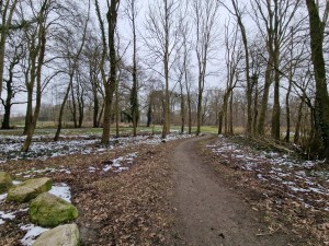 
                            <b>Bospaadje met kale bomen en licht laagje sneeuw op de grond.</b><br>
                                                        <b>ISO:</b> 50 | <b>Sluitertijd:</b> 1/214 | <b>Diafragma:</b> f/2.2 | <b>Datum:</b> 2025-02-15

                        