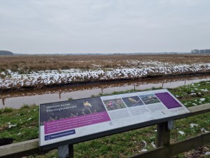 
                            <b>Informatiebord bij natuurgebied, omgeven door besneeuwd veld en water.</b><br>
                                                        <b>ISO:</b> 50 | <b>Sluitertijd:</b> 1/1786 | <b>Diafragma:</b> f/1.8 | <b>Datum:</b> 2025-02-15

                        
