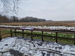 
                            <b>Platform met informatiebord biedt uitzicht over besneeuwd natuurgebied en grasland.</b><br>
                                                        <b>ISO:</b> 50 | <b>Sluitertijd:</b> 1/1502 | <b>Diafragma:</b> f/1.8 | <b>Datum:</b> 2025-02-15

                        