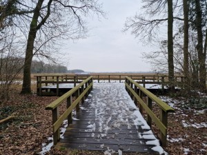
                            <b>Houten wandelbrug in besneeuwd bos leidt naar open veld.</b><br>
                                                        <b>ISO:</b> 50 | <b>Sluitertijd:</b> 1/1252 | <b>Diafragma:</b> f/1.8 | <b>Datum:</b> 2025-02-15

                        