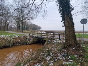 
                            <b>Houten brug over smal beekje in natuurlijke omgeving met kale bomen.</b><br>
                                                        <b>ISO:</b> 50 | <b>Sluitertijd:</b> 1/554 | <b>Diafragma:</b> f/1.8 | <b>Datum:</b> 2025-02-15

                        