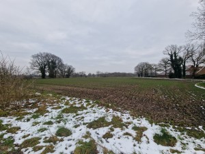 
                            <b>Winterlandschap met kale bomen, licht besneeuwd veld.</b><br>
                                                        <b>ISO:</b> 50 | <b>Sluitertijd:</b> 1/357 | <b>Diafragma:</b> f/2.2 | <b>Datum:</b> 2025-02-15

                        