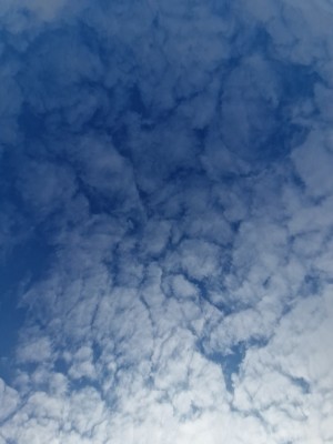 
                            <b>Wolkenpatroon tegen een heldere blauwe lucht.</b><br>
                                                        <b>ISO:</b> 50 | <b>Sluitertijd:</b> 1/4484 | <b>Diafragma:</b> f/2.2 | <b>Datum:</b> 2025-02-16

                        