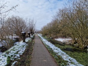 
                            <b>Smal pad met bomen en smalle sloot, lichte sneeuw op de grond.</b><br>
                                                        <b>ISO:</b> 50 | <b>Sluitertijd:</b> 1/6711 | <b>Diafragma:</b> f/1.8 | <b>Datum:</b> 2025-02-16

                        