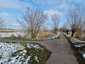 
                            <b>Landelijk pad langs kanaal met kale bomen en beetje sneeuw op de grond.</b><br>
                                                        <b>ISO:</b> 50 | <b>Sluitertijd:</b> 1/6711 | <b>Diafragma:</b> f/1.8 | <b>Datum:</b> 2025-02-16

                        