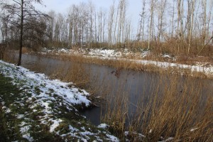 
                            <b>Besneeuwd grasland met een smalle rivier omgeven door kale bomen.</b><br>
                                                        <b>ISO:</b> 100 | <b>Sluitertijd:</b> 1/200 | <b>Diafragma:</b> f/6.3 | <b>Datum:</b> 2025-02-16

                        