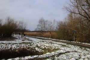 
                            <b>Besneeuwd landschap met bomen en een wegwijzer.</b><br>
                                                        <b>ISO:</b> 100 | <b>Sluitertijd:</b> 1/250 | <b>Diafragma:</b> f/7.1 | <b>Datum:</b> 2025-02-16

                        