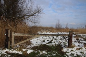 
                            <b>Houten hek in een besneeuwd veld met kale bomen.</b><br>
                                                        <b>ISO:</b> 100 | <b>Sluitertijd:</b> 1/320 | <b>Diafragma:</b> f/8.0 | <b>Datum:</b> 2025-02-16

                        