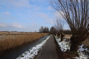 
                            <b>Smal pad langs kanaal met kale bomen en sneeuw.</b><br>
                                                        <b>ISO:</b> 100 | <b>Sluitertijd:</b> 1/250 | <b>Diafragma:</b> f/7.1 | <b>Datum:</b> 2025-02-16

                        