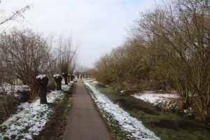 
                            <b>Smal pad met bomenrij en sneeuw, naast een smal beekje.</b><br>
                                                        <b>ISO:</b> 100 | <b>Sluitertijd:</b> 1/200 | <b>Diafragma:</b> f/6.3 | <b>Datum:</b> 2025-02-16

                        
