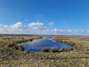 
                            <b>Kronkelende rivier door groen grasland met licht bewolkte blauwe lucht.</b><br>
                                                        <b>ISO:</b> 50 | <b>Sluitertijd:</b> 1/12500 | <b>Diafragma:</b> f/1.8 | <b>Datum:</b> 2025-02-26

                        