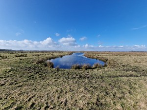
                            <b>Een kronkelende sloot in een uitgestrekt graslandschap.</b><br>
                                                        <b>ISO:</b> 50 | <b>Sluitertijd:</b> 1/2353 | <b>Diafragma:</b> f/2.2 | <b>Datum:</b> 2025-02-26

                        